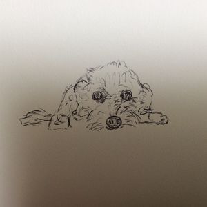 Meet your Posher, Sylvia